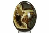 Calcite Crystal Filled Septarian Geode Egg - Utah #160273-3